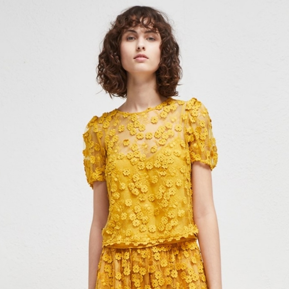 NWT: Delicate French Connection "Caballo" Lace top